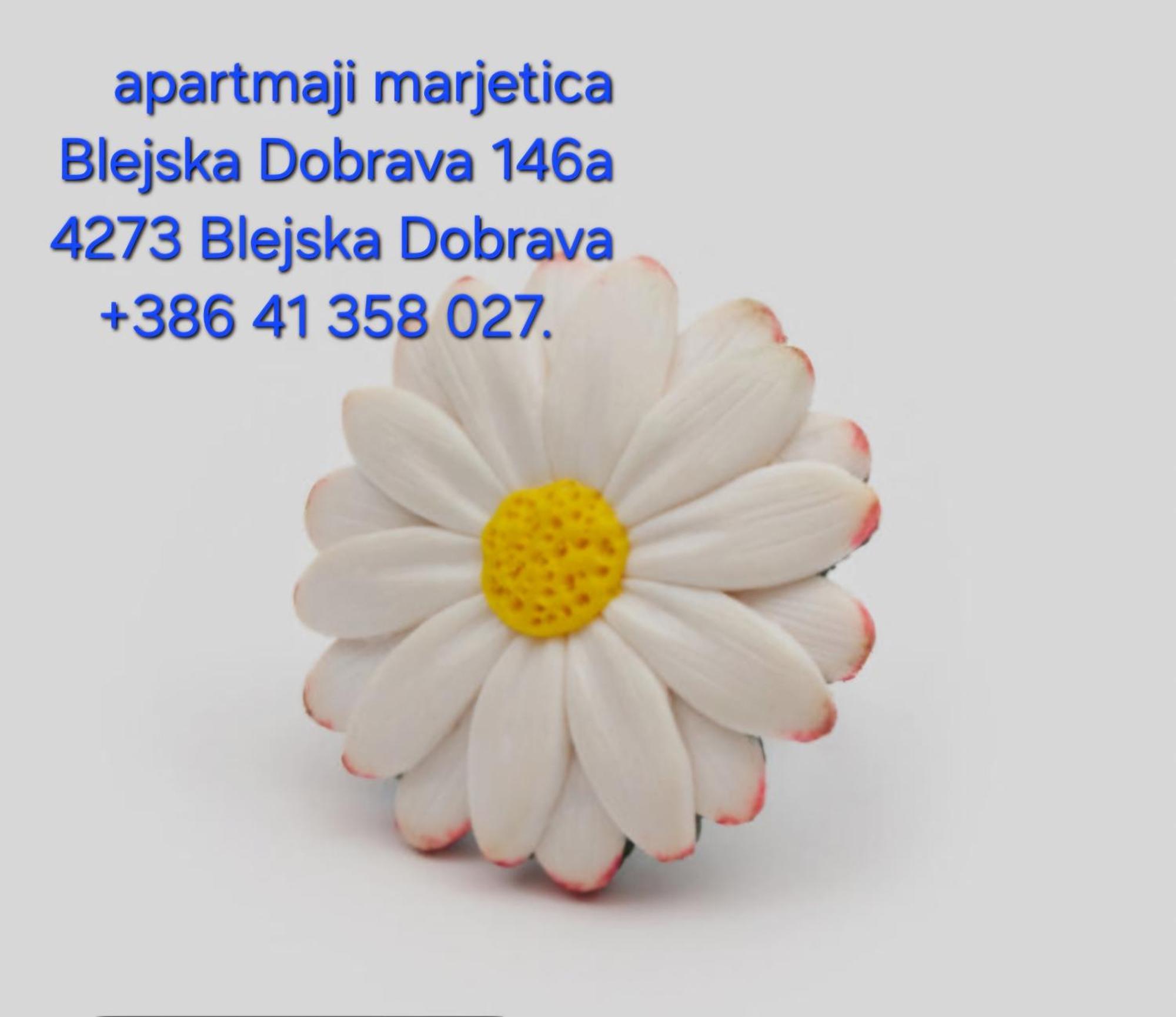 Apartma Marjetica Blejska Dobrava Exterior photo